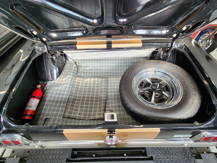 GT350 (13)